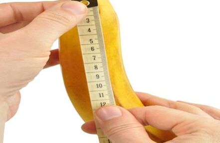 Normal penis dimensions
